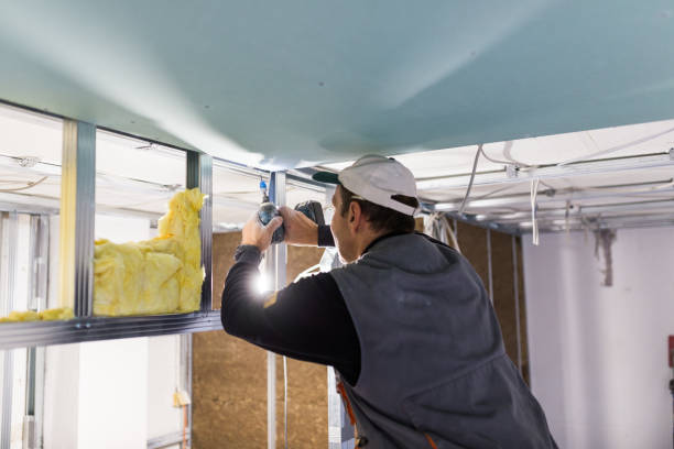 Best Eco-Friendly Insulation in Glade Spring, VA